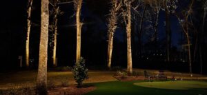 Treelighting4
