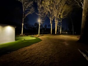 Treelighting5