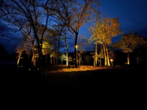 Treelighting7
