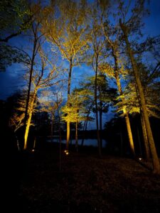 Treelighting8
