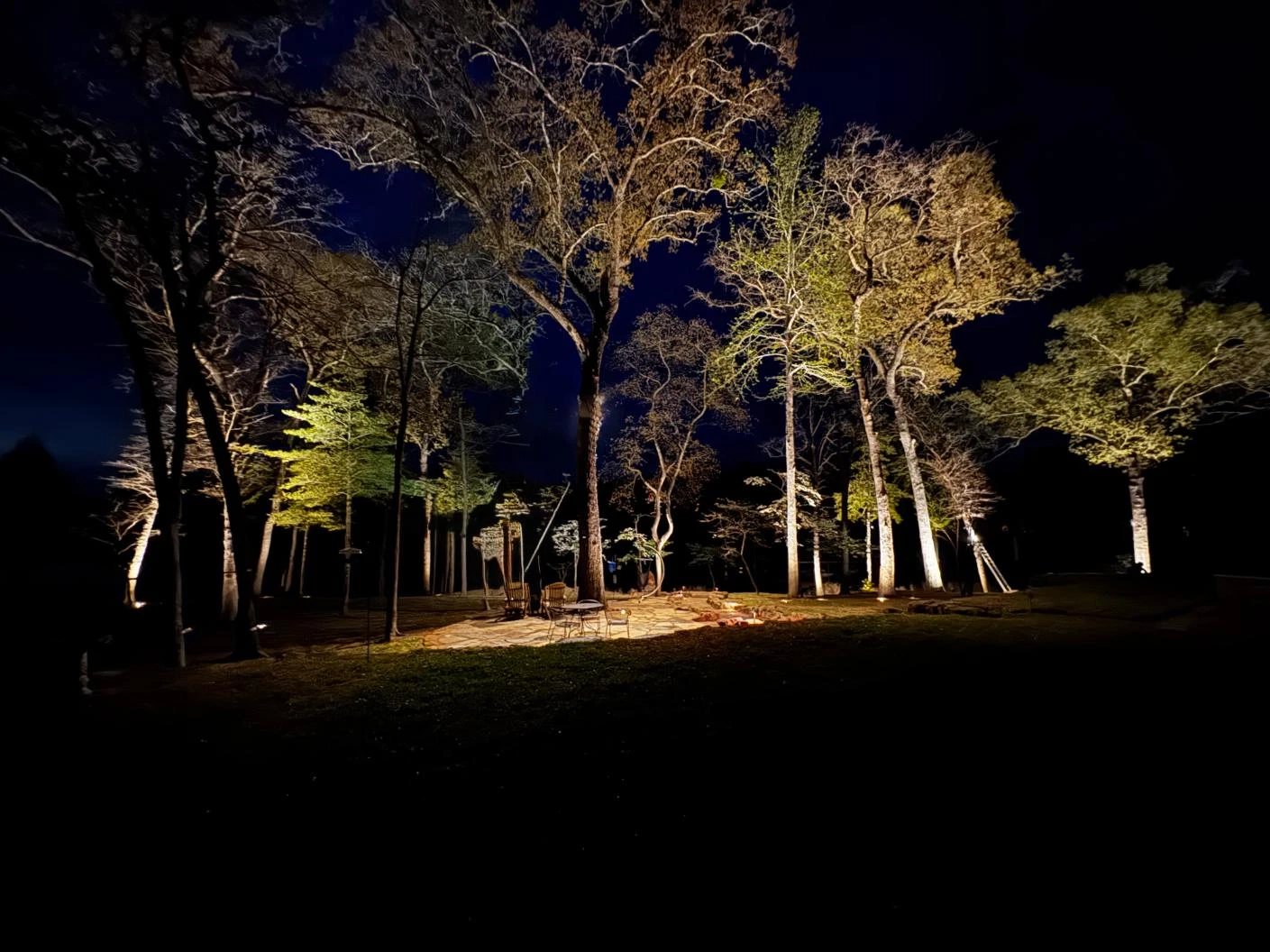 Treelighting1 Treelighting1